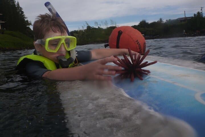 Kauai Private Shore Snorkel with Sea Turtles — Guided Small-Group Reef Adventure photo 3