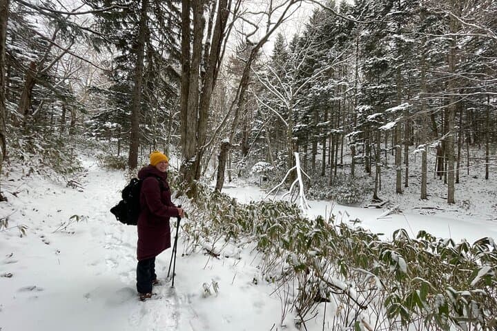 Snowshoeing and Onsen in Sapporo: Guided Winter Trek with Outdoor Lunch photo 3