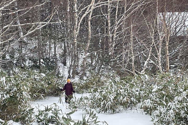 Full-Day Snowshoeing at Hoheikyo Dam with Onsen — Hokkaido Winter Trek photo 1