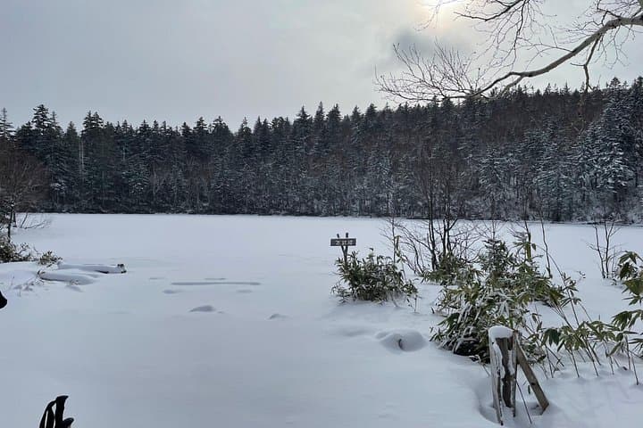 Full-Day Snowshoeing at Hoheikyo Dam with Onsen — Hokkaido Winter Trek photo 3