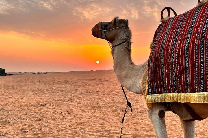 Morning Desert Safari Dubai: Dune Bashing, Sandboarding & Camel Ride photo 3