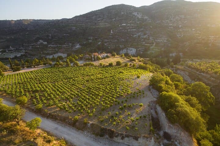 Private Cyprus Wine Tour from Alaminos: Omodos Wineries & Tastings