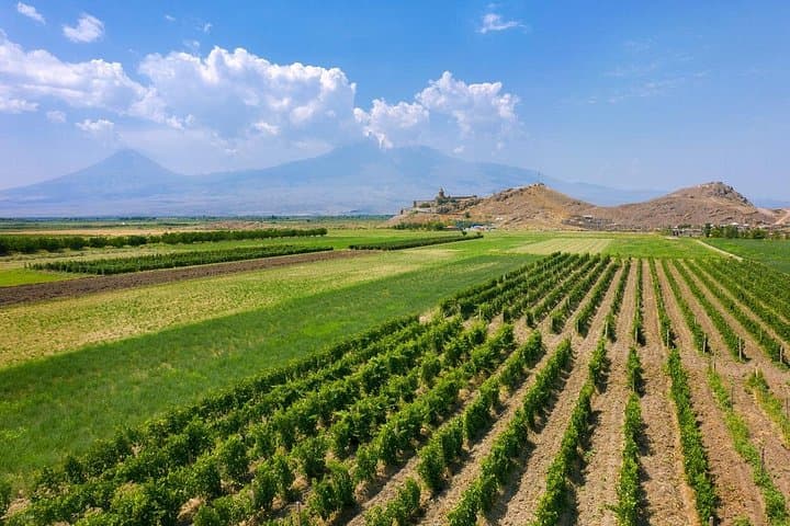 Areni Winery, Khor Virap & Noravank: Private Day Tour from Yerevan