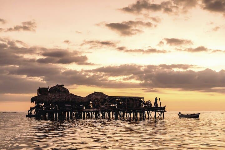 Negril Private Tour: YS Falls, Pelican Bar & Bamboo Avenue photo 3
