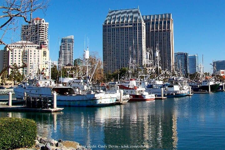 Private San Diego Coastal Driving Tour — La Jolla to Coronado Beaches photo 3