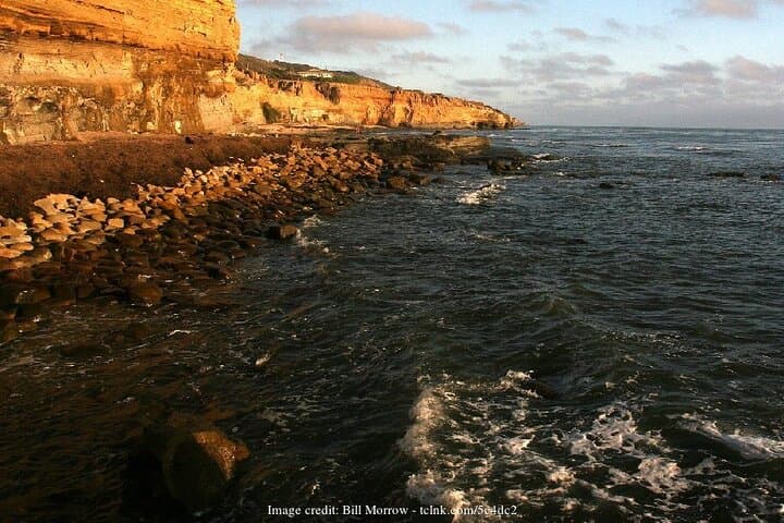 Private San Diego Coastal Driving Tour — La Jolla to Coronado Beaches photo 4