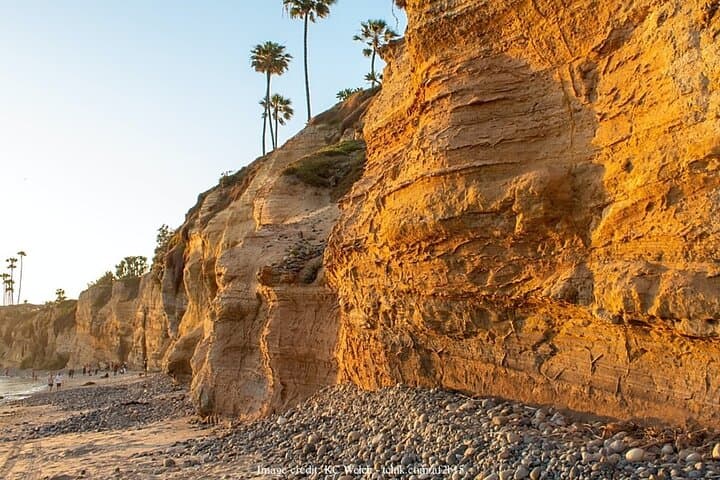 Private San Diego Coastal Driving Tour — La Jolla to Coronado Beaches photo 5