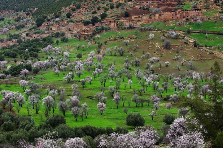 Agafay Desert & Berber Village: Full-Day Cultural Trek from Marrakech photo 2