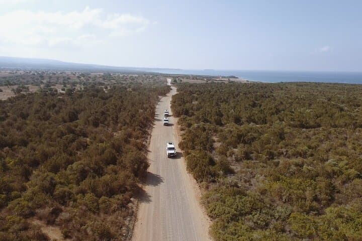 Surf and Turf Akamas Full-Day Jeep & Boat Adventure from Limassol photo 2