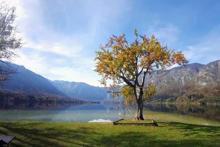 13-Day Slovenia Grand Tour: Alps, Karst, and Coast photo 5