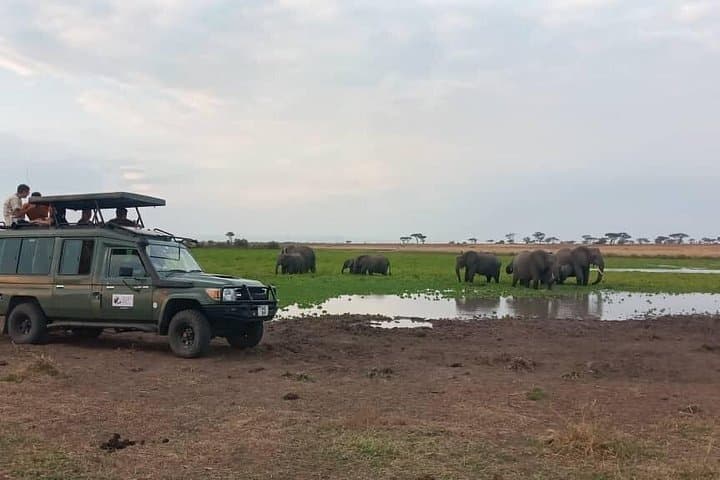 6-Day Budget Serengeti Safari: Tarangire, Manyara & Ngorongoro Essentials photo 3