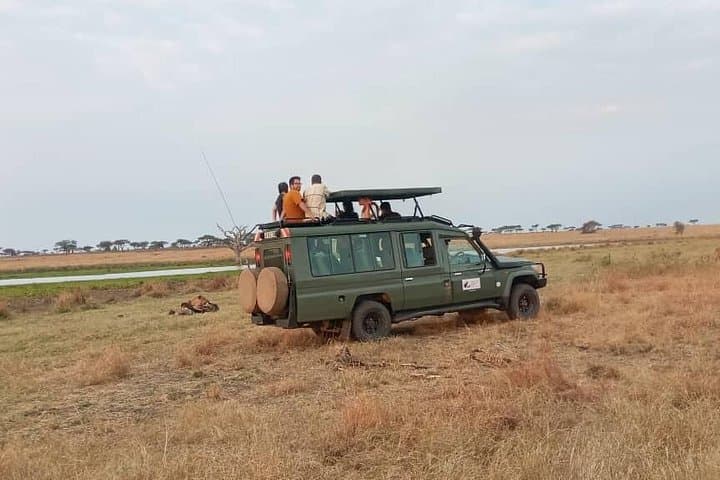 6-Day Budget Serengeti Safari: Tarangire, Manyara & Ngorongoro Essentials photo 4