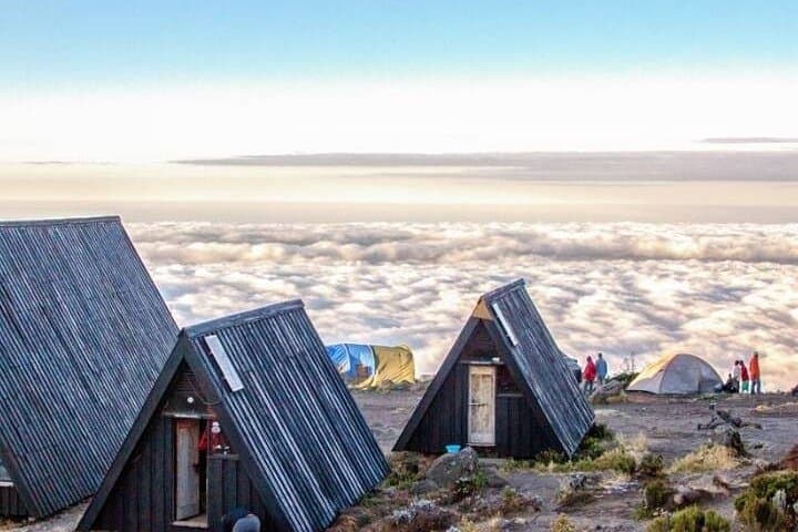 8-Day Lemosho Route: Kilimanjaro via Shira Plateau and Moir Hut photo 6