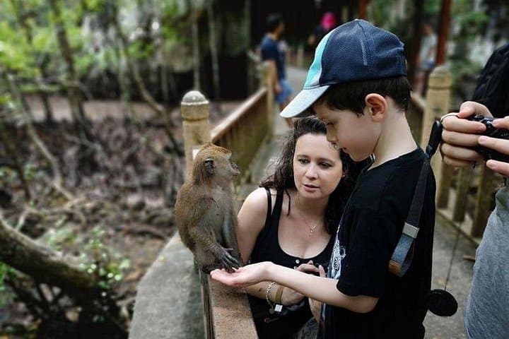 Half-Day Kilim Mangrove Boat Tour with Lunch — Langkawi Wildlife & Caves photo 3