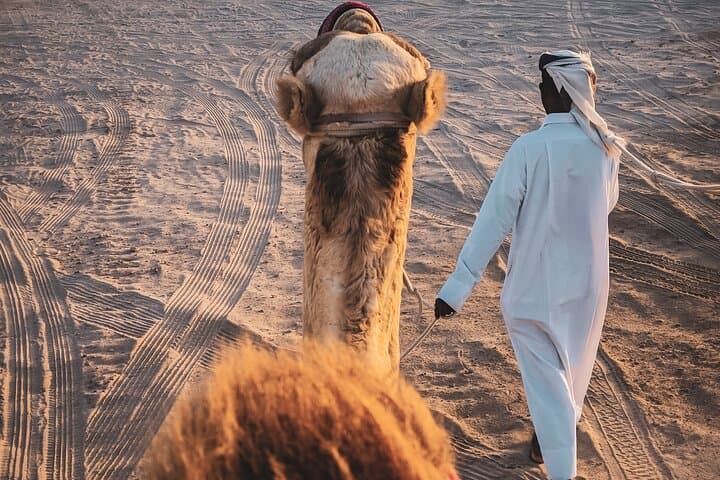 Doha Private Half-Day Desert Safari: Horse, Camel & Sandboard Adventure photo 5