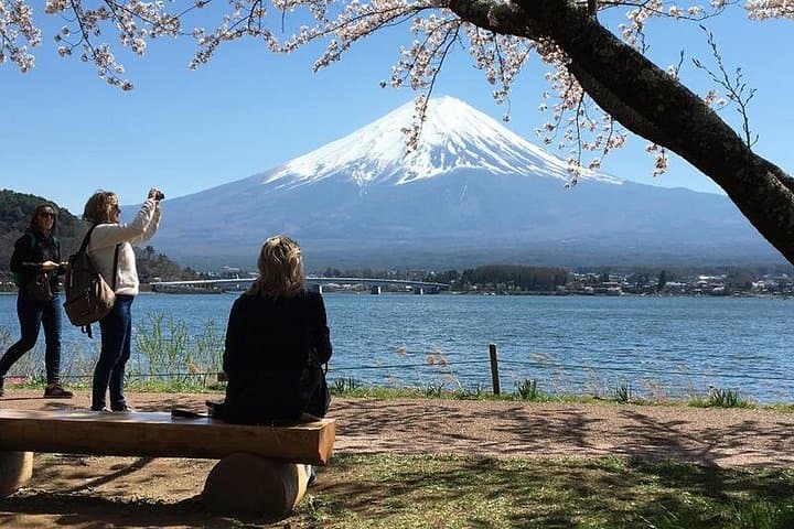 Mt. Fuji & Hakone Private Day Tour from Tokyo: Lake Views, 5th Station & Cultural Stops photo 1