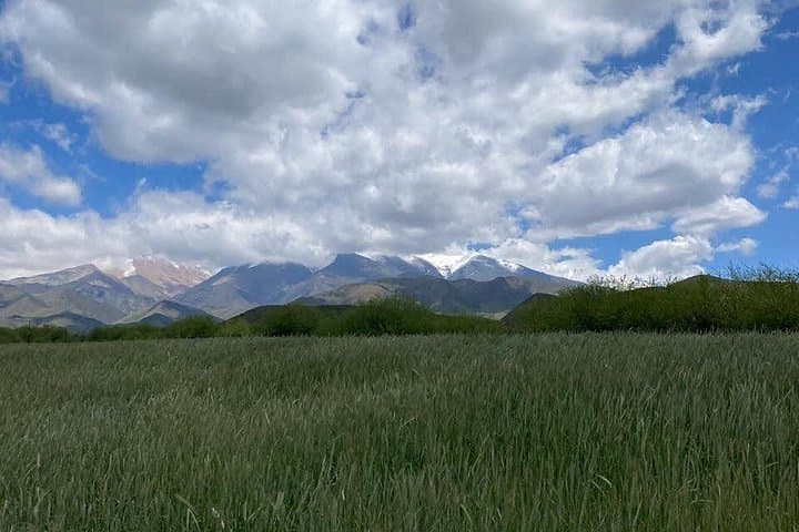 Horseback Riding and Asado at El Pico Palma Ranch — La Carrera, Mendoza photo 2