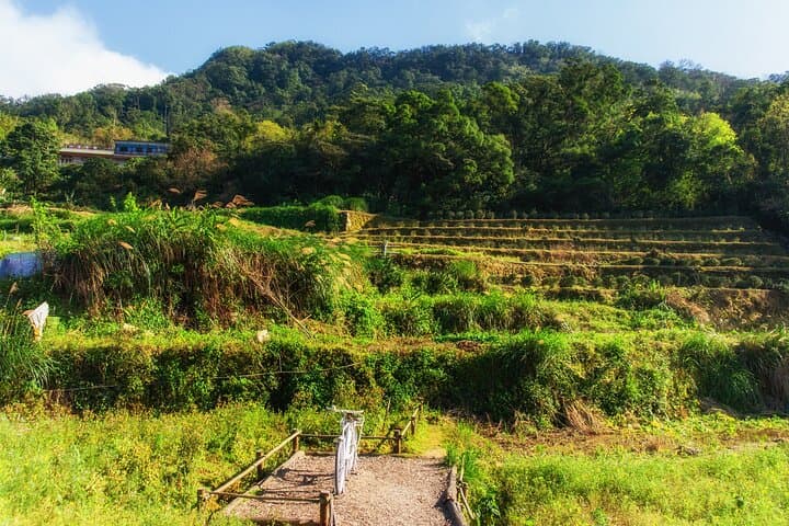 Private Maokong Tea & Shenkeng Stinky Tofu Tour from Taipei