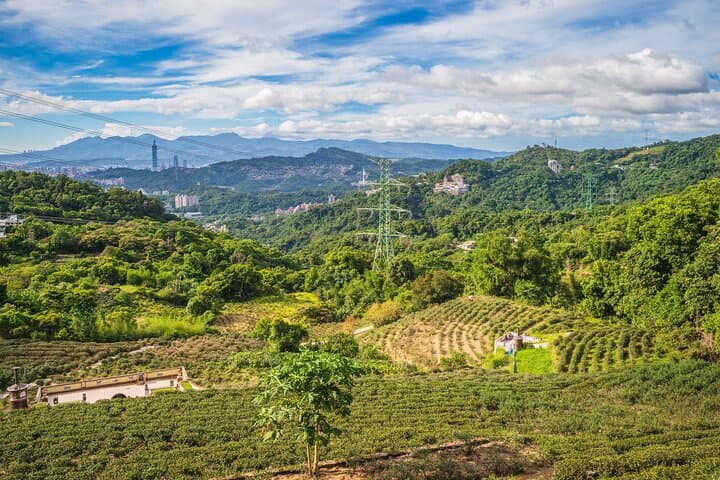 Private Maokong Tea & Shenkeng Stinky Tofu Tour from Taipei photo 5