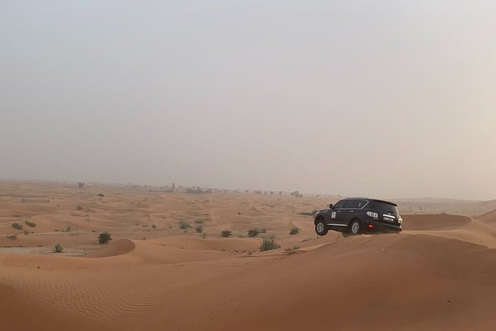 Evening Desert Safari in Dubai: Dune Bashing, BBQ & Live Shows photo 4