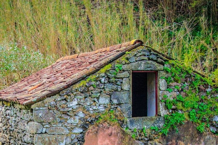 Full-Day Ribeira Funda to Maia Coastal Hike on São Miguel — North Coast Walking Tour photo 3