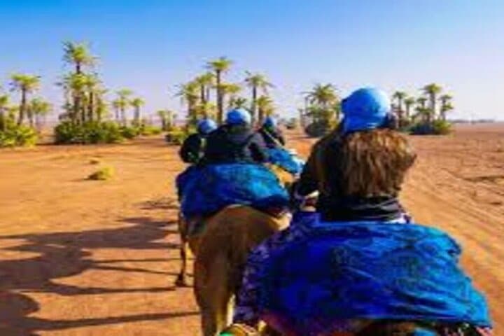 Camel Ride in Marrakech’s Palmeraie — Mint Tea, Berber Villages & Sunset Views