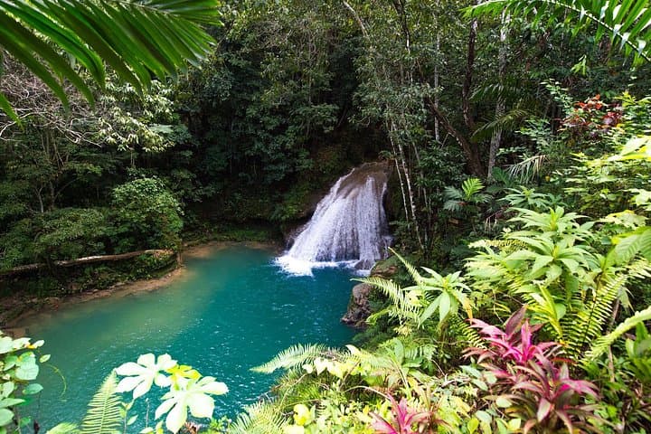 Full-Day Private Tour from Montego Bay: Blue Hole, Secret Falls & Dunn's River Falls photo 6