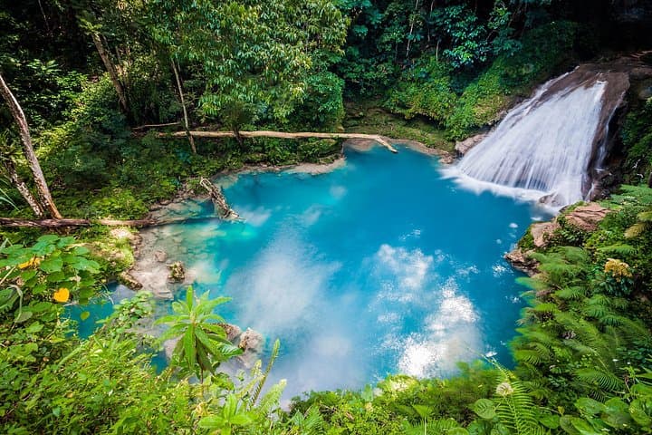 Full-Day Private Tour from Montego Bay: Blue Hole, Secret Falls & Dunn's River Falls