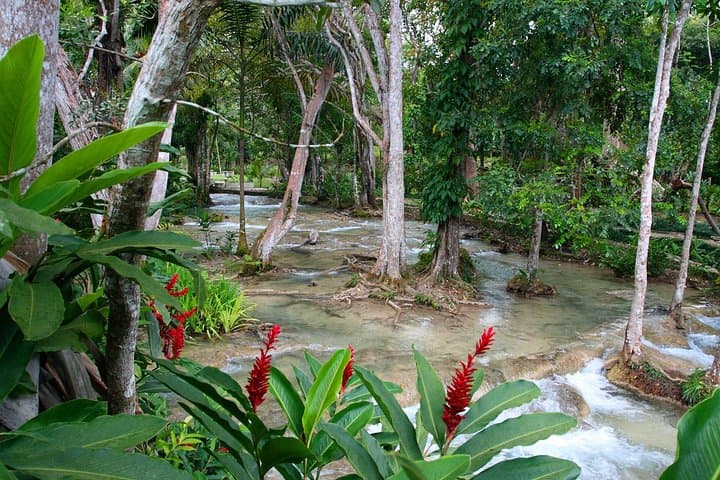 Full-Day Private Tour from Montego Bay: Blue Hole, Secret Falls & Dunn's River Falls photo 5