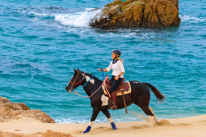Horseback Riding Beach & Desert Trails in Cabo — Cactus Tours photo 2