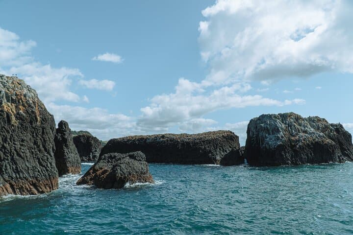 Full-Day Bay of Islands Cruise: Cream Trip, Otehei Bay & Hole in the Rock photo 4