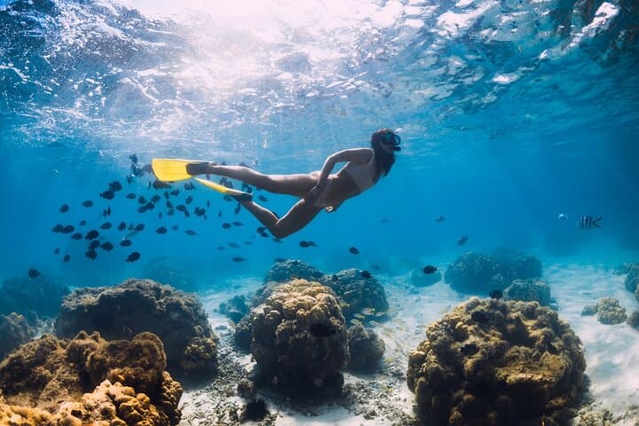 Private Scuba Diving Catamaran Tour in Martinique — Snorkel, Intro Dive & Turtle Swim