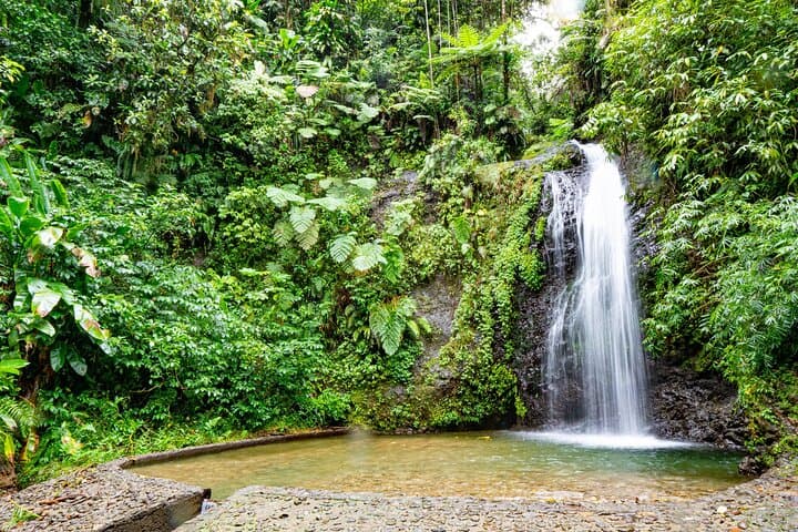 Private Northern Martinique Tour: St. Pierre, Waterfalls & Rum Tasting photo 2