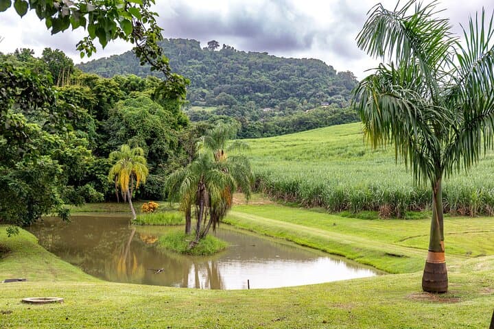 Private Northern Martinique Tour: St. Pierre, Waterfalls & Rum Tasting photo 6