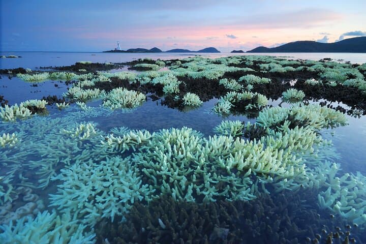 Private Tour to Siao Liuchiu (Little Liuqiu) Coral Island from Kaohsiung