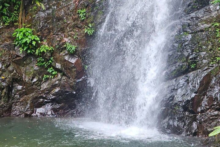 Langkawi ATV Safari: Jungle Trails, Waterfalls & Paddy-Field Rides photo 5