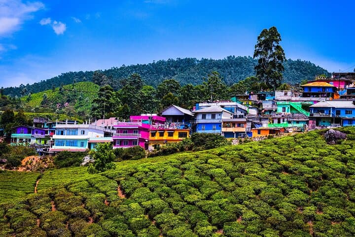 Munnar Day Tour: Waterfalls, Tea-Trek & Lockhart Tea Factory Experience photo 3