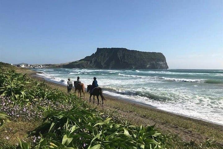 Custom Private Tour of Jeju: Seongsan Ilchulbong, Oedolgae & Seongeup