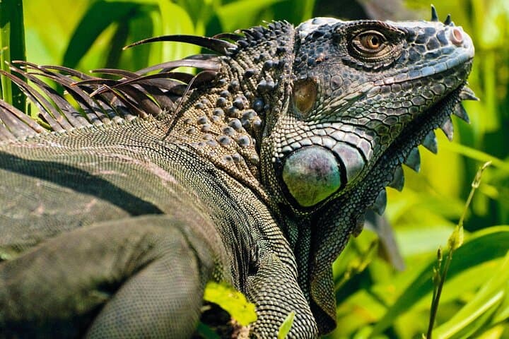 Coastal ATV Adventure: 2-Hour Guanacaste Beach Ride photo 4