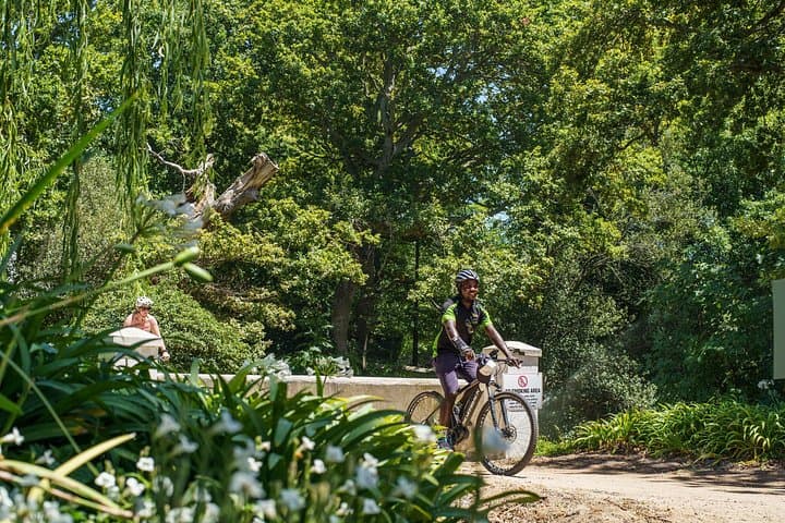Franschhoek Half-Day Mountain Bike & Wine Tour — Ride Vineyards and Cellars photo 4