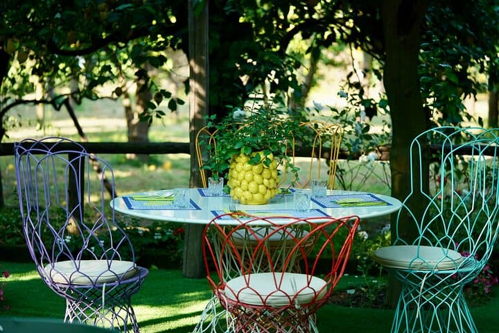 Sorrento Lemon Grove Tour: Taste the IGP Oval Lemon & Limoncello Tasting photo 2