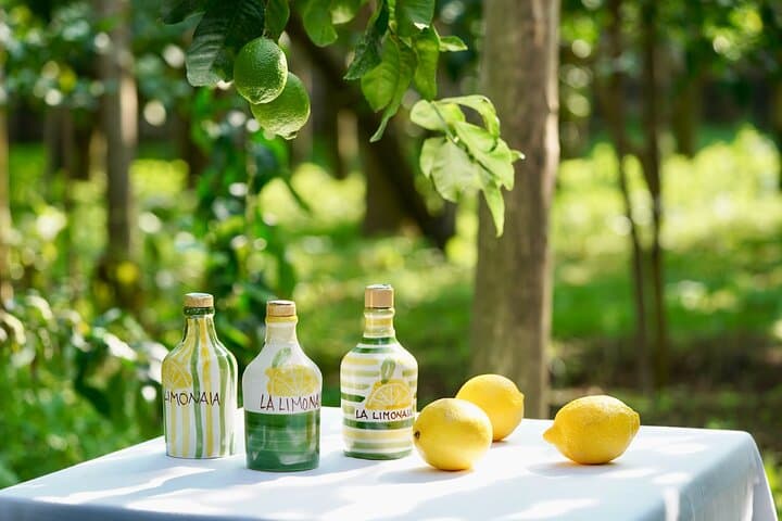 Sorrento Lemon Grove Tour: Taste the IGP Oval Lemon & Limoncello Tasting photo 3