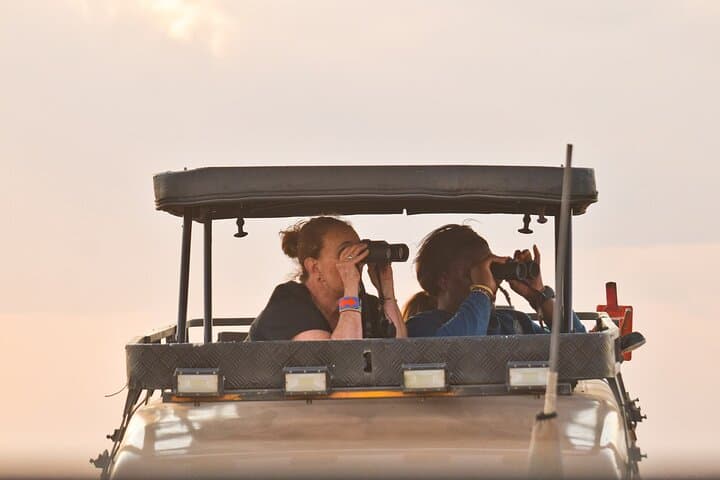 Half Day Nairobi National Park Safari: Wildlife Viewing On The Edge Of The City photo 1