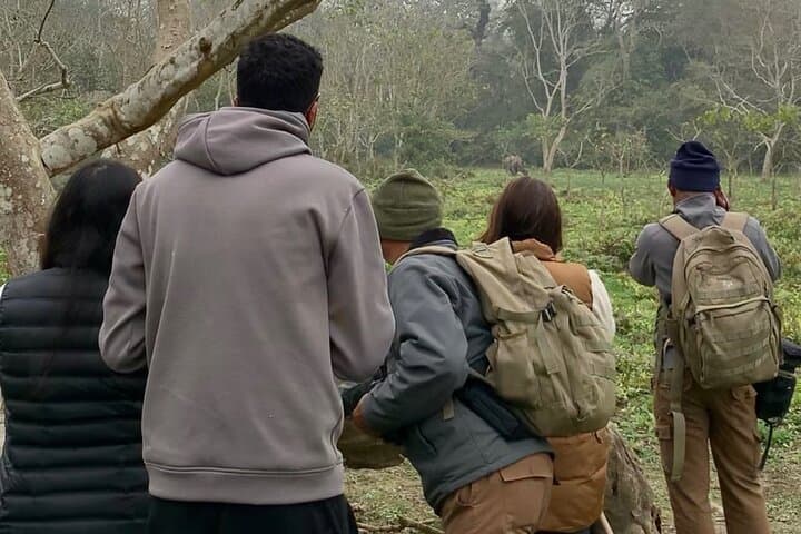 Explore Chitwan National Park: 3-Day Wildlife Safari in Nepal photo 3