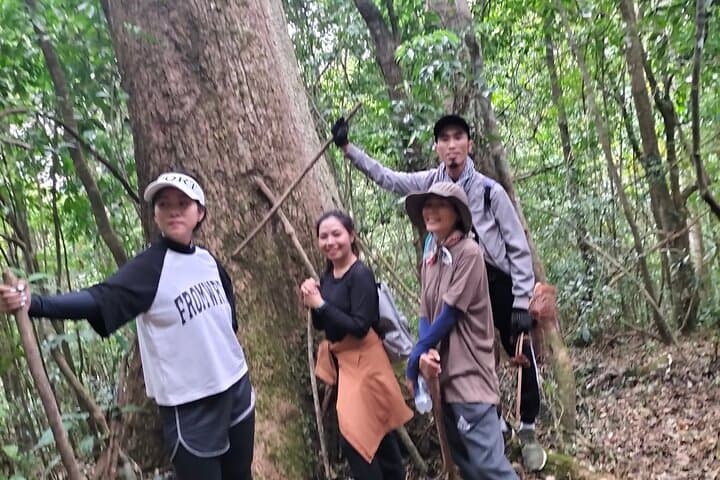 Langbiang Mountain Trek from Da Lat — Coffee View & Secret Forest Route photo 2