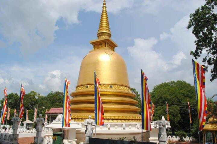 Full-Day Private Tour: Sigiriya Rock & Dambulla Cave Temple from Kandy photo 6
