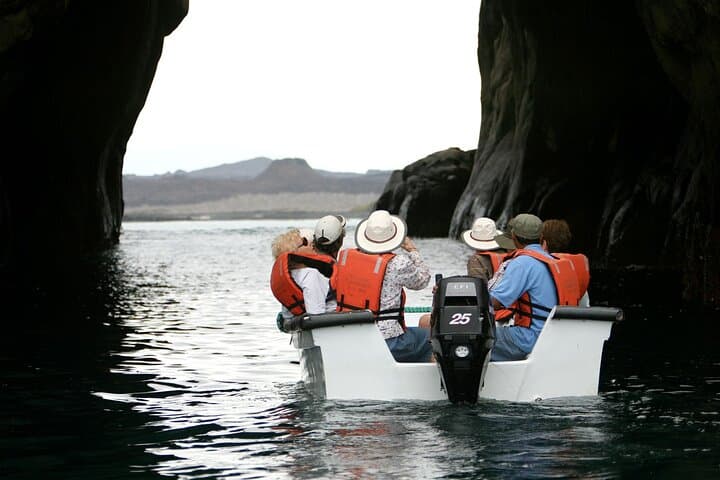 Galapagos Island Hopping: 8-Day Wildlife & Snorkel Expedition photo 6