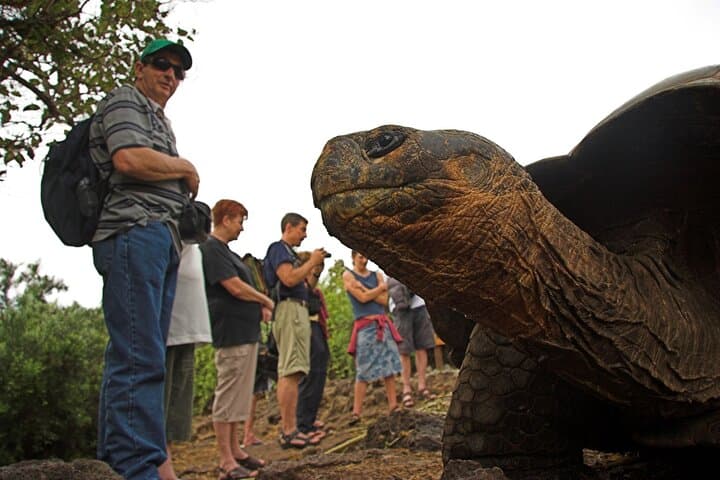 Galapagos Island Hopping: 8-Day Wildlife & Snorkel Expedition photo 5