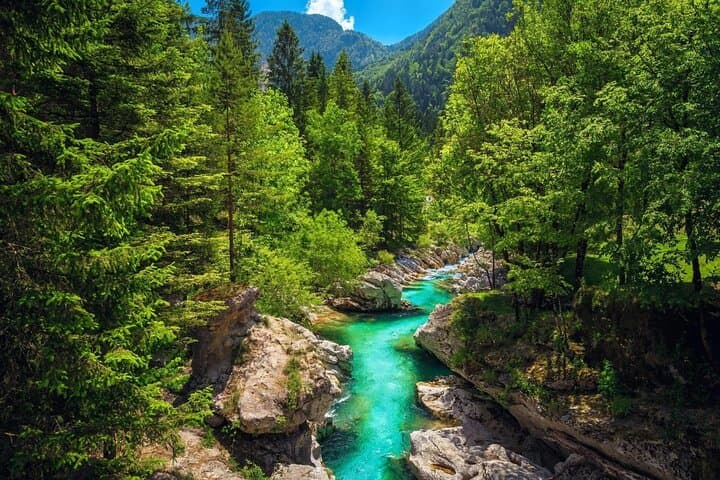 5-Day Highlights of Slovenia: Bled, Bohinj, Postojna Cave and Piran photo 3