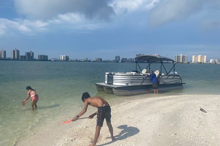 Clearwater Beach Pontoon Tours: Dolphin Watching, Island Hopping & Snorkeling photo 4